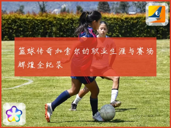 篮球传奇加索尔的职业生涯与赛场辉煌全纪录