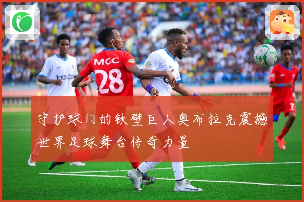 守护球门的铁壁巨人奥布拉克震撼世界足球舞台传奇力量